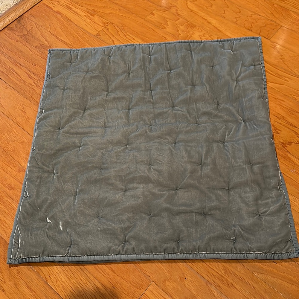 Crate & Barrel Audra Velvet Accent Pillow sage green Zip Closure nwot
